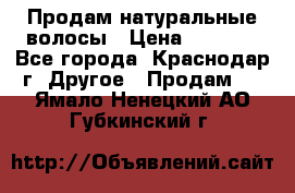 Продам натуральные волосы › Цена ­ 3 000 - Все города, Краснодар г. Другое » Продам   . Ямало-Ненецкий АО,Губкинский г.